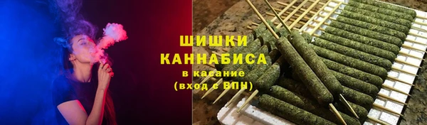 амф Пестово