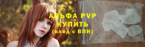 гашик Горняк