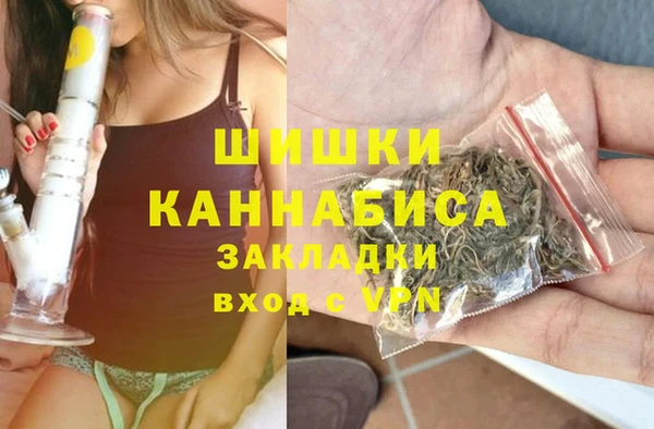 амф Пестово