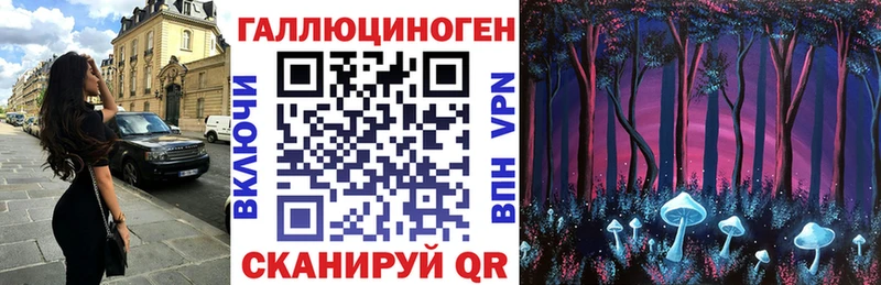 Псилоцибиновые грибы GOLDEN TEACHER  магазин  наркотиков  Кедровый 